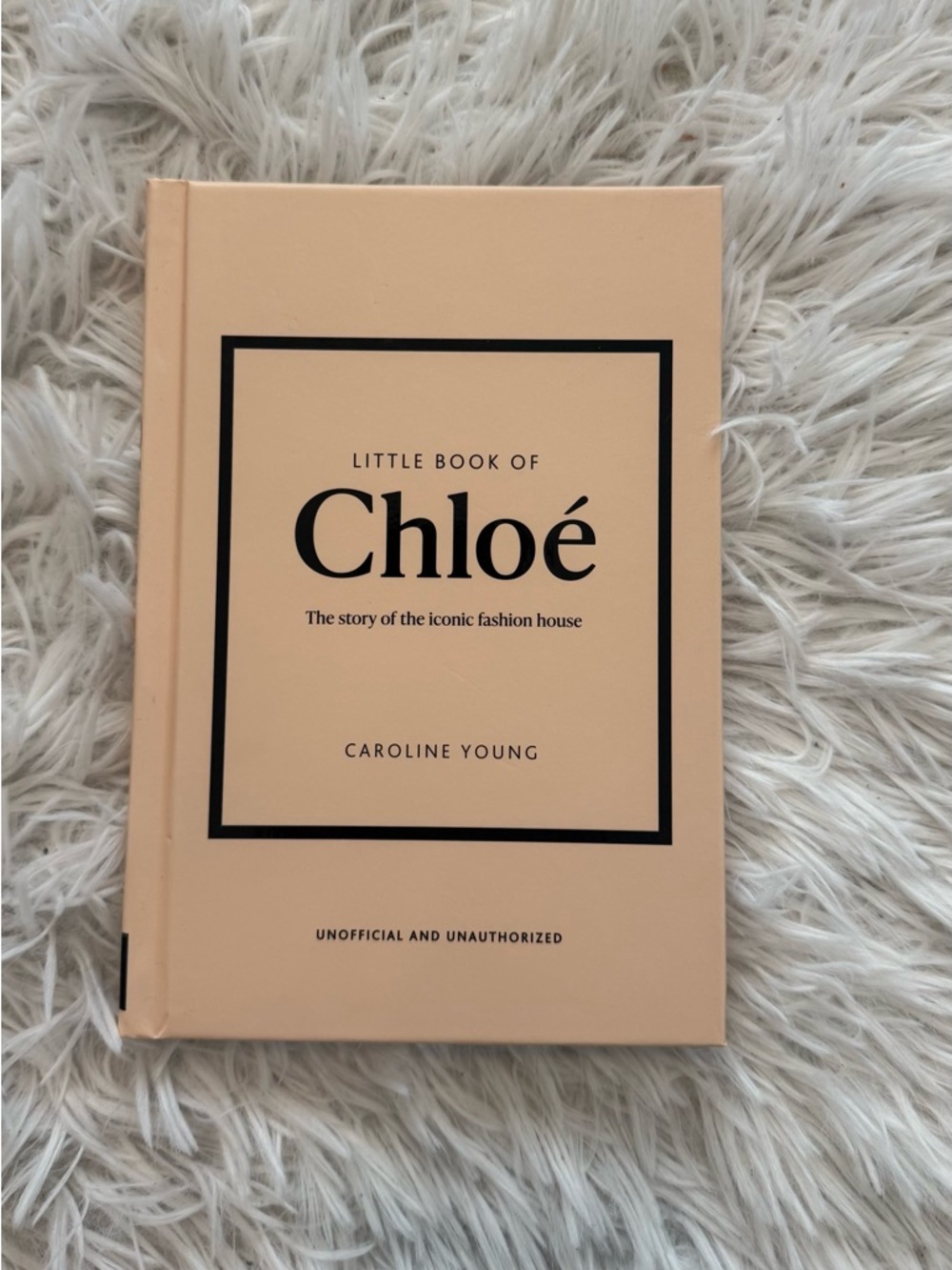 Little Guides to Style - Fashion Book